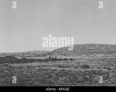 Une photographie de paysage Mar Elias vu depuis le château Saint-Louis, le château a été construit par les croisés français en 1254, Saïda, Liban, 1874. À partir de la Bibliothèque publique de New York. Banque D'Images