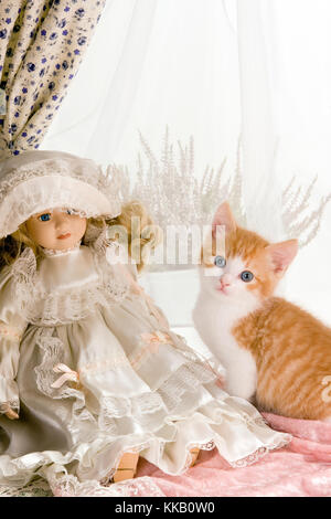 Chaton de six semaines avec une antique doll Banque D'Images