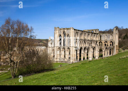 L'abbaye de Rievaulx North York Moors national park North Yorkshire Banque D'Images