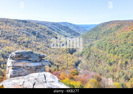 Avis de Canaan Valley, au parc d'état de Blackwater falls en Virginie de l'Ouest durant la saison automne coloré d'automne feuillage jaune avec sur les arbres, rock Banque D'Images