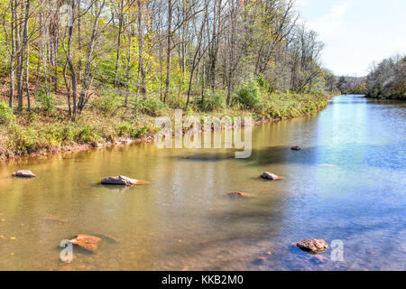 Williams River en automne avec libre de pierres, roches en Virginie de l'ouest de la forêt nationale de Monongahela Banque D'Images