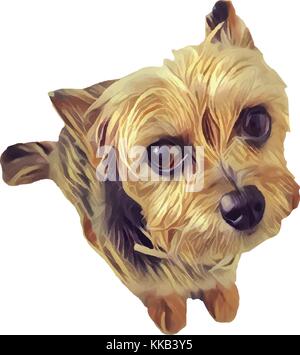 Yorkshire chien fond blanc Illustration de Vecteur