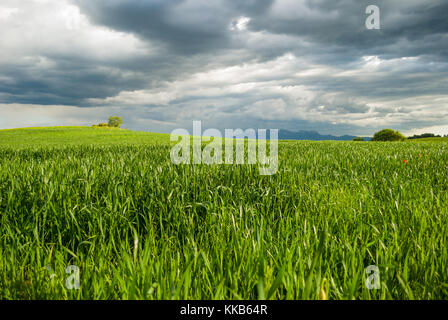 Paysage, pré vert avec les nuages de tempête avec en toile de fond la montagne de Montserrat Banque D'Images