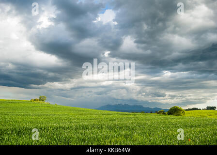 Paysage, pré vert avec les nuages de tempête avec en toile de fond la montagne de Montserrat Banque D'Images