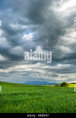 Paysage, pré vert avec les nuages de tempête avec en toile de fond la montagne de Montserrat Banque D'Images