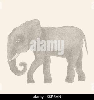 Éléphant. vector illustration Illustration de Vecteur