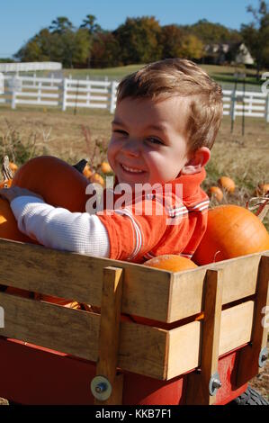 Jeune garçon assis dans un chariot plein de citrouilles dans un potager près de North Little Rock, Arkansas grinning Banque D'Images