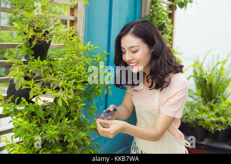 Jeune professionnel femme en tablier vert coupe tondeuse bush dans le jardin Banque D'Images