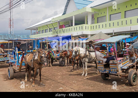 Calèches / cidomos pour les transports publics dans la ville prison labuhan lombok / tanjung quietude productions sur l'île de Lombok en Indonésie Banque D'Images