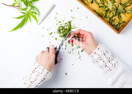 Coupe fille feuilles marijuana vue supérieure première personne Banque D'Images