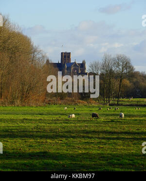St Albans Abbey vu de l'Hertfordshire près de manière Gorhambury (portrait) Banque D'Images