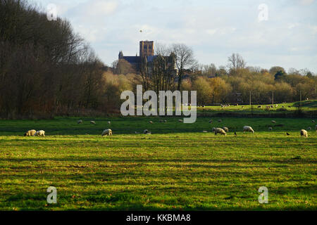 St Albans Abbey vu de l'Hertfordshire près de manière Gorhambury Banque D'Images