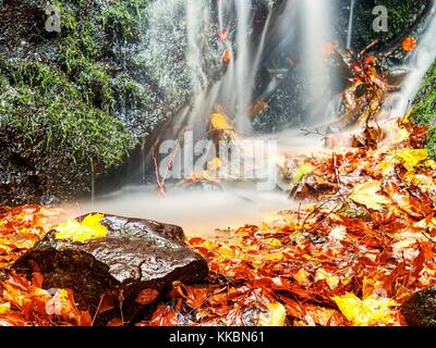 Les feuilles colorés pris dans ruisseau de montagne. couleurs d'automne en flux rapide. au-dessus de pierre moussue chemin de Ford en ruisseau de montagne. Banque D'Images