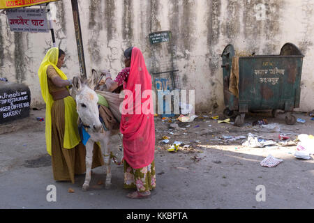 Charge des femmes avec sacoches de gravats sur un âne à Udaipur, Rajasthan, Inde Banque D'Images