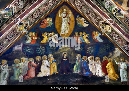Jésus et les douze apôtres, par Andrea di Bonaiuto, 1365-1367, chapelle des Espagnols, la Basilique de Santa Maria Novella (Basilica di Santa Maria Novella ) Florence Italie Fresco Banque D'Images