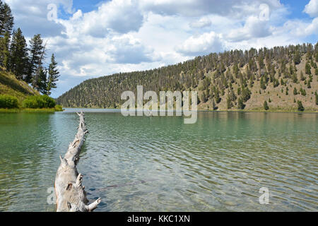 Lake dans le parc national de Yellowstone Banque D'Images