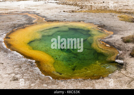 En fonction de l'ouest thermique biscuit geyser geyser Basin, parc national de Yellowstone Banque D'Images