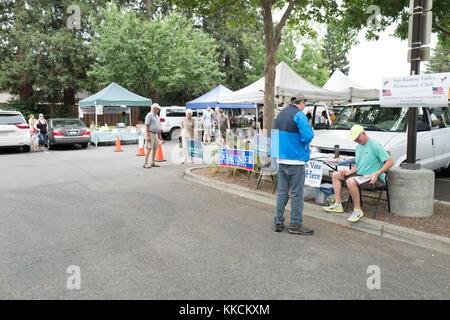 Sur un marché agricole hebdomadaire dans la région de la baie de San Francisco, un bénévole transmet des informations sur les candidats politiques démocrates locaux aux passants de Danville, Californie, le 5 juin 2016. Banque D'Images