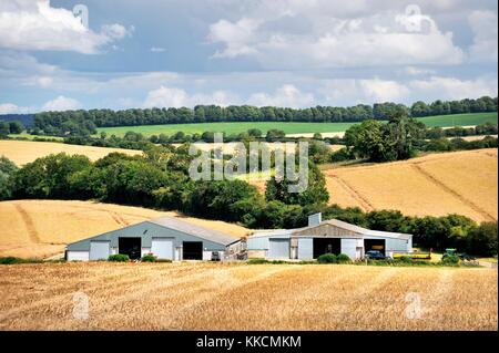 Granges agricoles modernes et de terres agricoles dans les champs de culture agricole rural le paysage du Wiltshire downs de craie. Près d'Avebury. L'été Banque D'Images