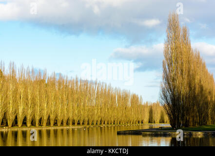 Vue d'un canal bordé de peupliers, dans un parc public français par un matin ensoleillé d'automne. Banque D'Images