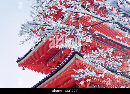 Temples japonais rouge recouvert de neige Banque D'Images