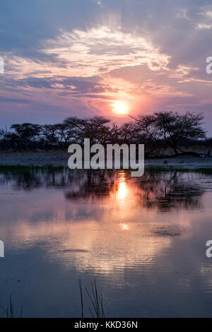 Coucher du soleil à l'étang à Onguma Bush Camp, onguma game reserve, la Namibie, l'Afrique Banque D'Images