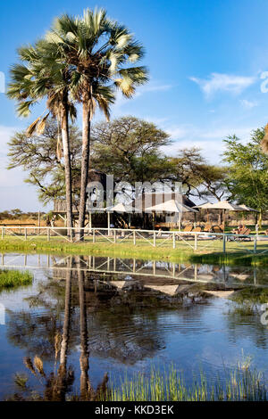 Point d'eau à Onguma Bush Camp, onguma game reserve, la Namibie, l'Afrique Banque D'Images