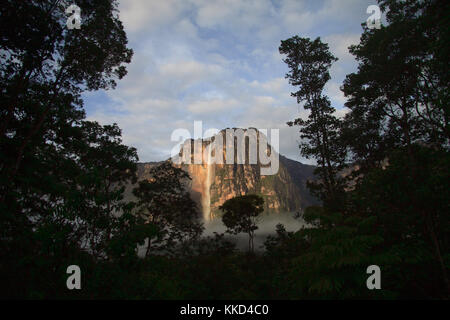 Angel Falls - vue de la plus haute chute d'eau sur la terre tôt le matin Banque D'Images