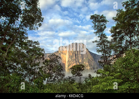 Angel Falls - vue de la plus haute chute d'eau sur la terre tôt le matin Banque D'Images