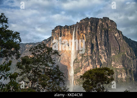 Angel Falls - vue de la plus haute chute d'eau sur la terre tôt le matin Banque D'Images