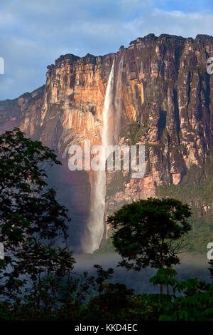 Angel Falls - vue de la plus haute chute d'eau sur la terre tôt le matin Banque D'Images