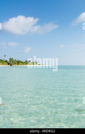 Tropical Paradise beach avec turquoise Banque D'Images