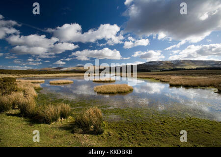 Avis de Brecon Beacons de Mynydd Illtud, Wales, UK avec des sommets couverts de neige Banque D'Images