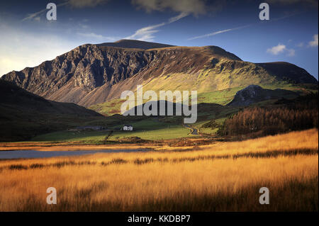 Llyn y Gadair ( lac ) & ferme près de Rhyd Ddu dans le parc national de Snowdonia, Pays de Galles, UK avec 2300ft Mynydd Mawr en toile Banque D'Images