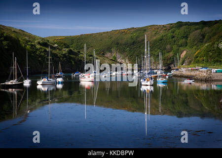 Port de Solva, Pembrokeshire, Pays de Galles, UK avec petits bateaux à l'ancre et de réflexions dans l'eau parfaitement immobile sur un beau matin d'été Banque D'Images