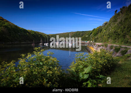 Port de Solva, Pembrokeshire, Pays de Galles, UK avec petits bateaux à l'ancre et de réflexions dans l'eau parfaitement immobile sur un beau matin d'été Banque D'Images