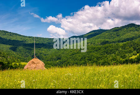 Botte sur l'herbe des pâturages dans les montagnes. beaux paysages d'été sur un beau temps Jour Banque D'Images