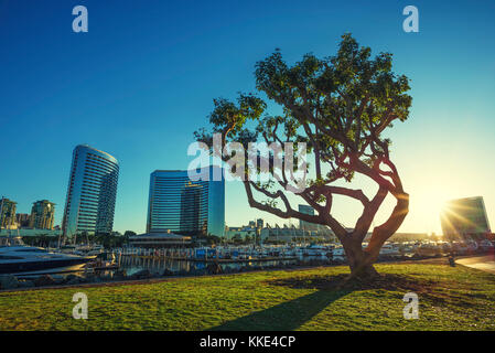 L'Embarcadero Marina Park dans le centre-ville de San Diego, en Californie. Banque D'Images