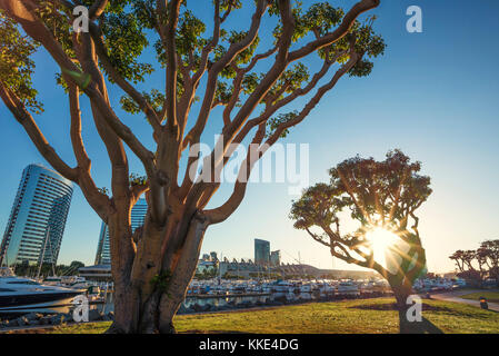 L'Embarcadero Marina Park dans le centre-ville de San Diego, en Californie. Banque D'Images