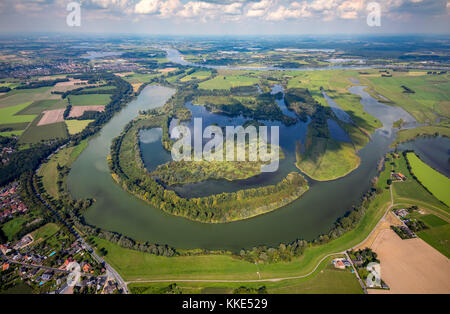 Age Rhin à Unterbirten, réserve naturelle de l'île de Bislicher, Xanten, Basse-Rhin, Rhénanie-du-Nord-Westphalie,Allemagne, Xanten, Basse-Rhin, Rhein, non Banque D'Images