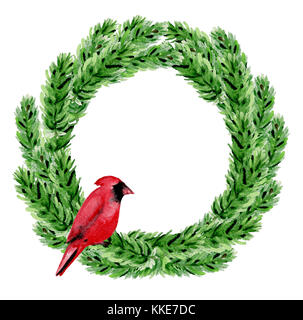 L'aquarelle à la main de décoration. couronne de noël sapin vert et branches rouge cardinal oiseau sur un fond blanc. Banque D'Images