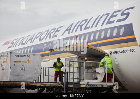 Singapore Airlines Airbus A350 cargo fret chargement en soute à l'aéroport de Manchester Banque D'Images