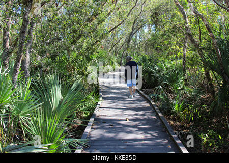 Woman walking along promenade à Merritt Island National Wildlife Refuge, Floride Banque D'Images