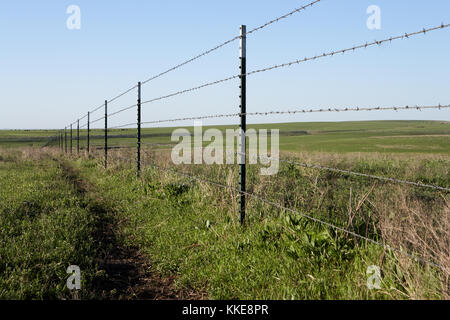 Clôture rustique dans une ferme avec des brins de fil de fer barbelé sur métal les compte-gouttes en bordure de champs et pâturages d'herbe verte Banque D'Images