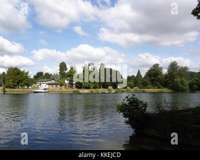 Vue sur Fleuve vers shepperton landing de rive de la Tamise à Weybridge, Surrey, England, UK Banque D'Images