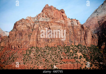 16 novembre 2017 : début de l'hiver doux lumière jette une lueur après-midi paisible de sion sur les murs en grès rouge riche, Zion National Park, UT. Banque D'Images