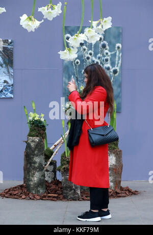 Francfort, Allemagne. 5 décembre 2016. Une femme prend des photos dans l'exposition de Noël au Palm Garden à Francfort, Allemagne, Dec. 5, 2016. Crédit : Luo Huanhuan/Xinhua/Alamy Live News Banque D'Images