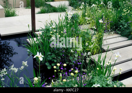 Calme et peceful plantation de fleurs avec de l'eau dans un jardin moderne Banque D'Images