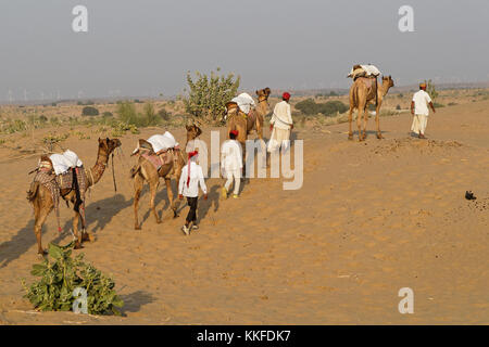 JAISALMER, INDE, le 2 novembre 2017 : Caravane de chameaux dans le désert de sable. Plusieurs safaris dans le désert sont organisées pour les touristes par l'opéra local Banque D'Images