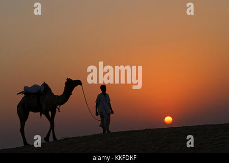 JAISALMER, INDE, le 2 novembre 2017 : Caravane de chameaux au coucher du soleil dans le désert de sable. Plusieurs safaris dans le désert sont organisées pour les touristes par l Banque D'Images